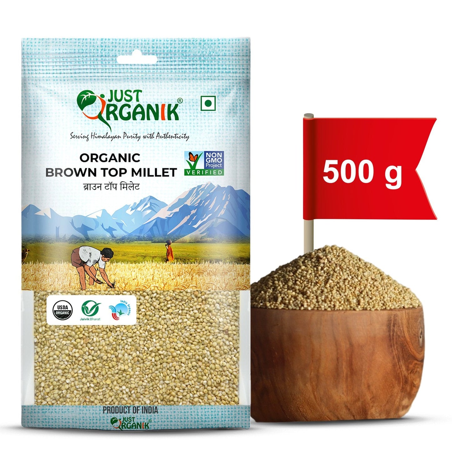 Brown Top Millet