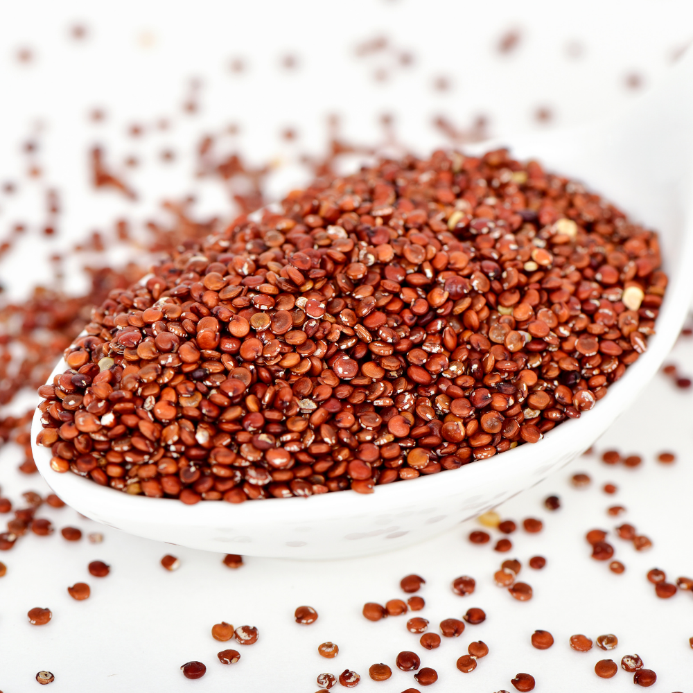 Quinoa-Red