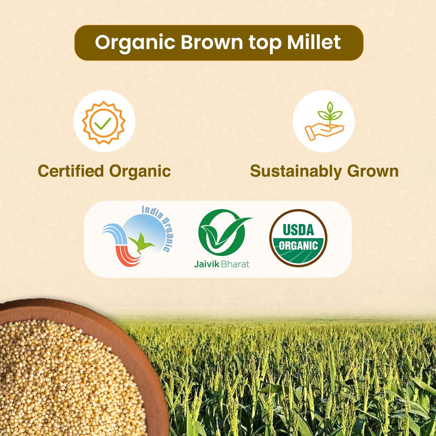 Brown Top Millet