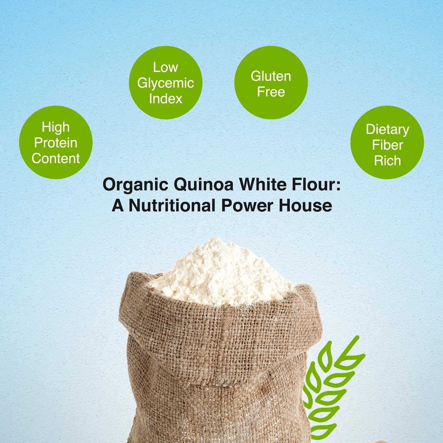 Quinoa White Flour