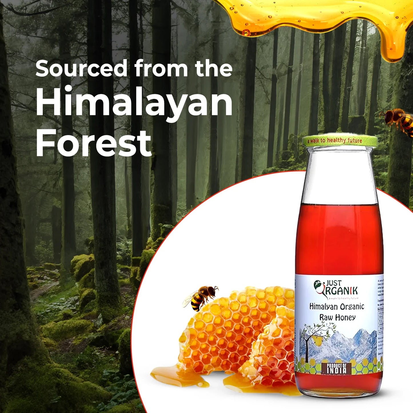 Honey - Raw Forest