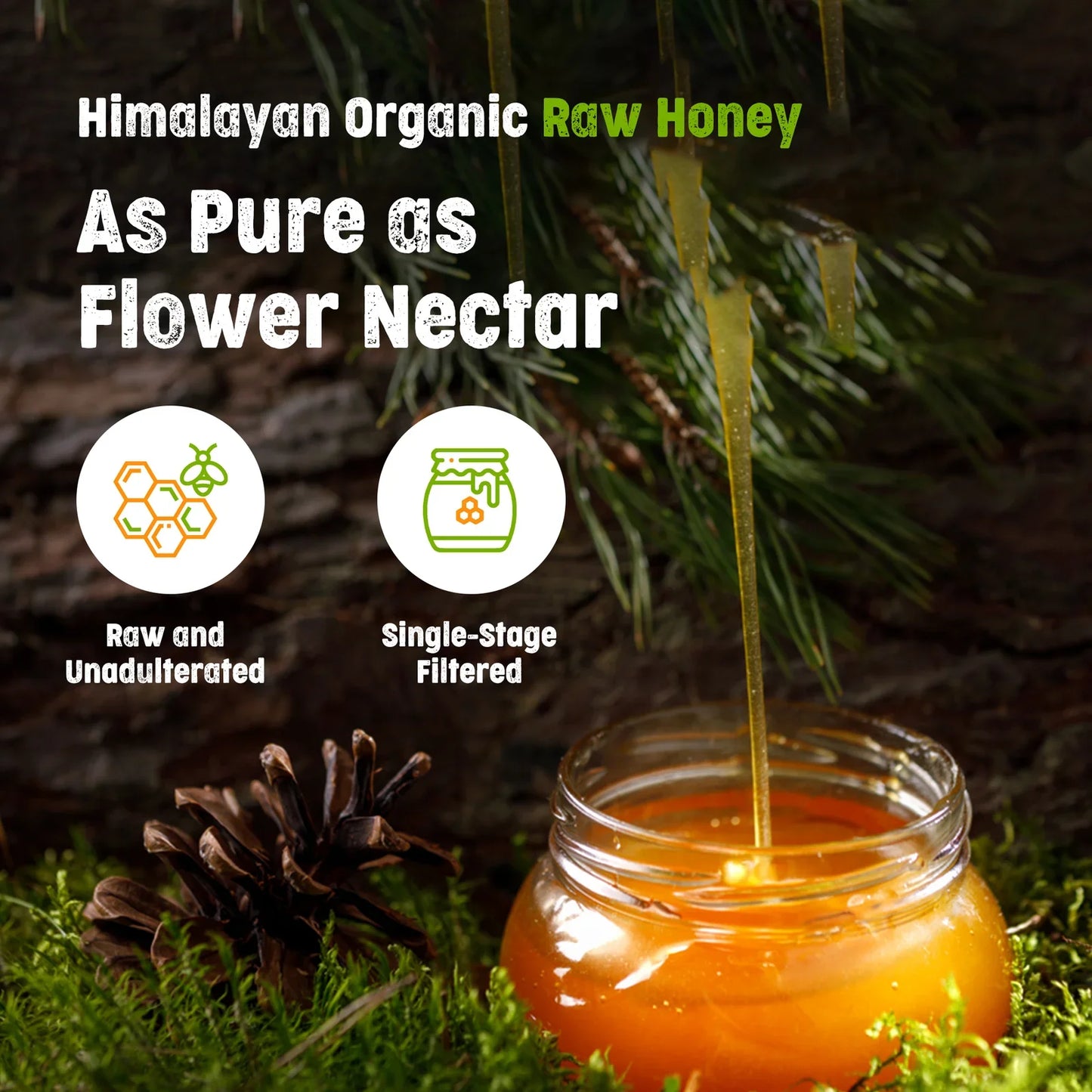 Honey - Raw Forest